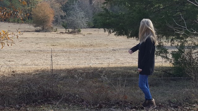 c4pdphHd-2361775720 (1)